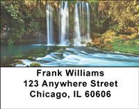 Forest Waterfalls Address Labels