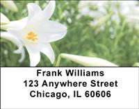 Easter Lilies Address Labels
