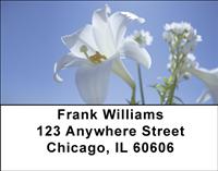 Easter Lilies Address Labels