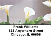 Calla Lilies Address Labels