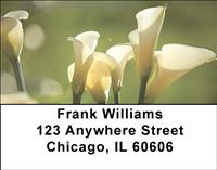 Calla Lilies Address Labels