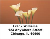 Calla Lilies Address Labels