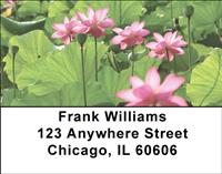 Water Lilies Address Labels