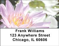 Water Lilies Address Labels