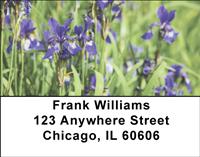 Blue Bearded Iris Address Labels