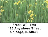 Yellow Iris Address Labels