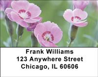 Pink Carnations Address Labels