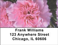 Pink Carnations Address Labels
