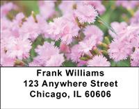Pink Carnations Address Labels