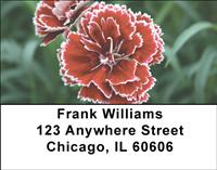Red Carnations Address Labels