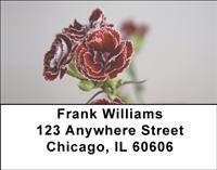 Red Carnations Address Labels