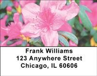 Rhododendron Address Labels