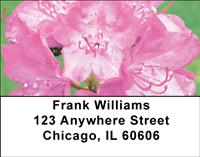 Rhododendron Address Labels