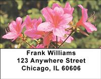 Rhododendron Address Labels