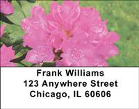 Rhododendron Address Labels