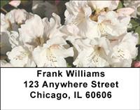 White Rhododendron Address Labels