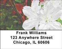 White Rhododendron Address Labels