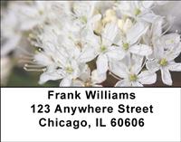 White Rhododendron Address Labels