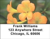 Tropical Rhododendron Address Labels