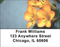 Tropical Rhododendron Address Labels