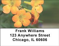 Tropical Rhododendron Address Labels