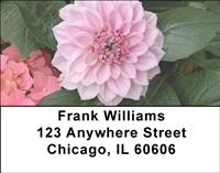 Pink Peonies Address Labels