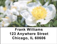 White Peonies Address Labels