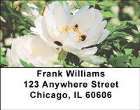 White Peonies Address Labels