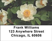 White Peonies Address Labels