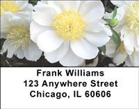 White Peonies Address Labels