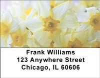 Narcissus Address Labels
