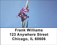 Gladiolus Address Labels