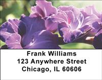 Gladiolus Address Labels