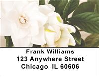 Gardenias Address Labels