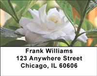 Gardenias Address Labels