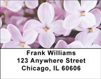 Lilacs Address Labels