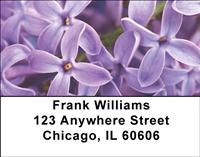 Lilacs Address Labels