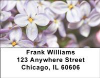 Lilacs Address Labels