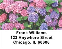 Hydrangeas Address Labels