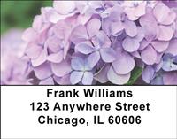 Hydrangeas Address Labels
