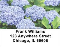 Hydrangeas Address Labels