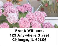 Hydrangeas Address Labels