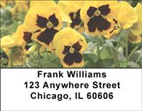 Yellow Pansies Address Labels