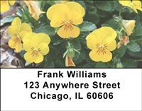 Yellow Pansies Address Labels