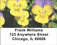 Yellow Pansies Address Labels