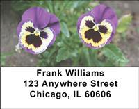 Purple Pansies Address Labels