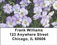Purple Pansies Address Labels