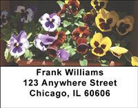 Potted Pansies Address Labels