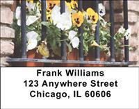 Potted Pansies Address Labels
