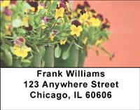 Potted Pansies Address Labels
